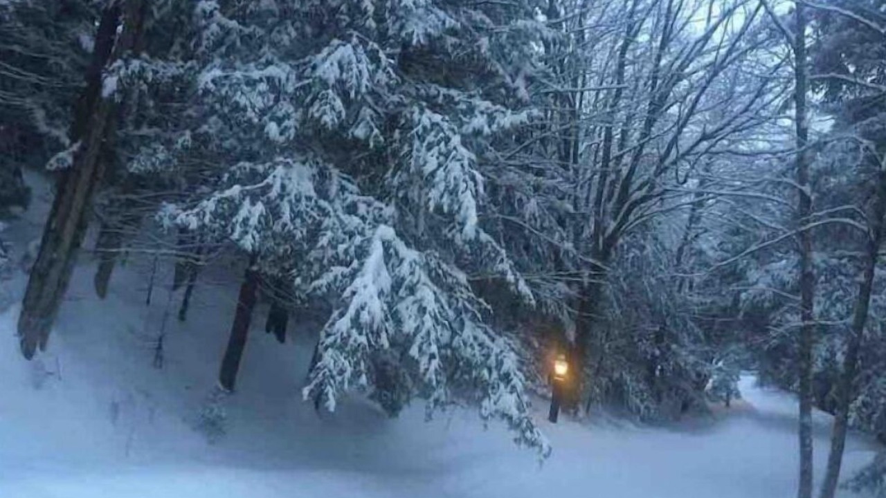 Photo of Others in Pittsfield