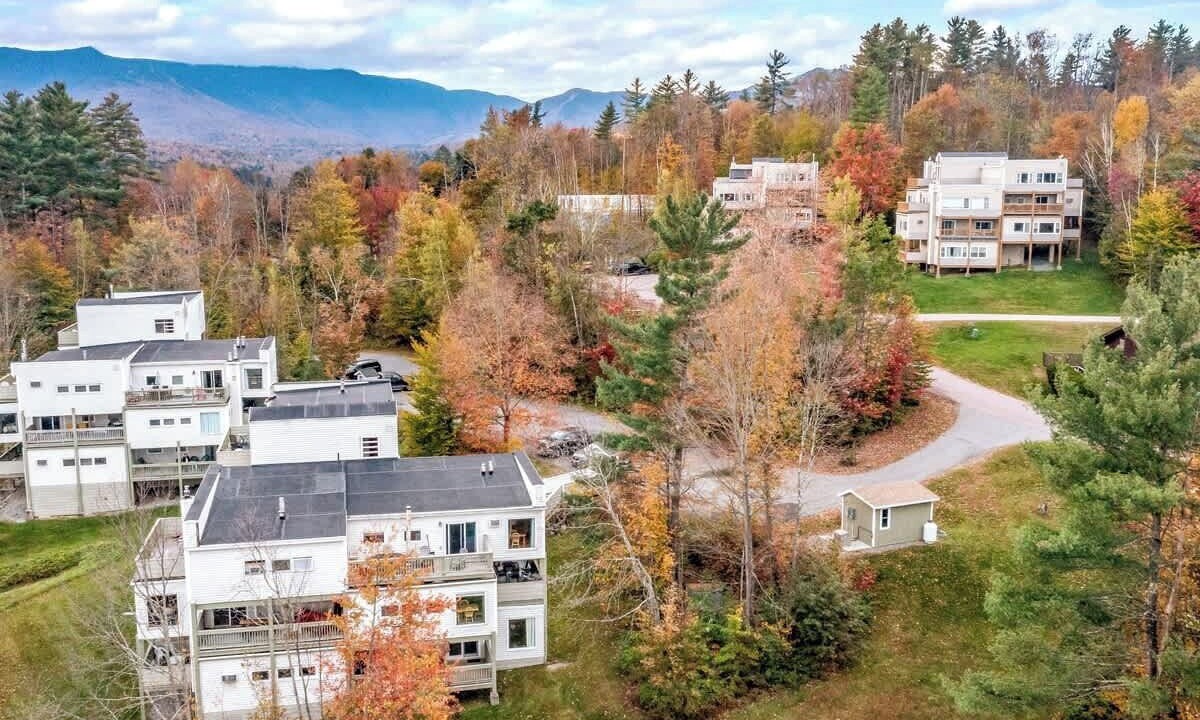 Photo of Others in Stowe Area