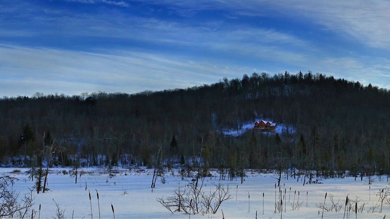 Photo of Others in Essex County