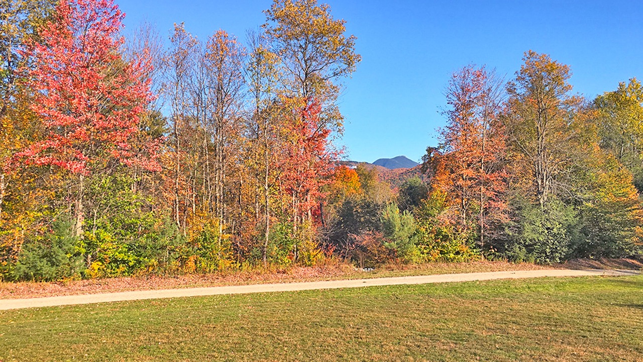 Photo of Outdoor in Richmond