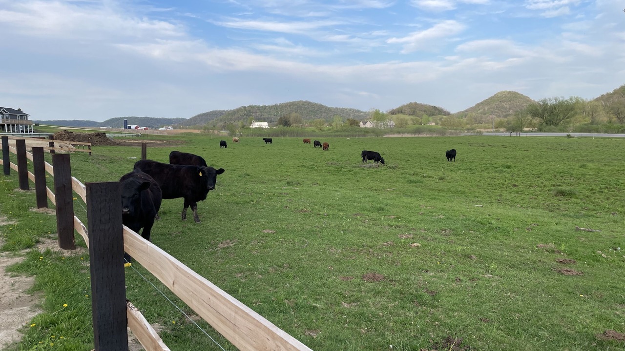 Photo of Outdoor in Vernon County