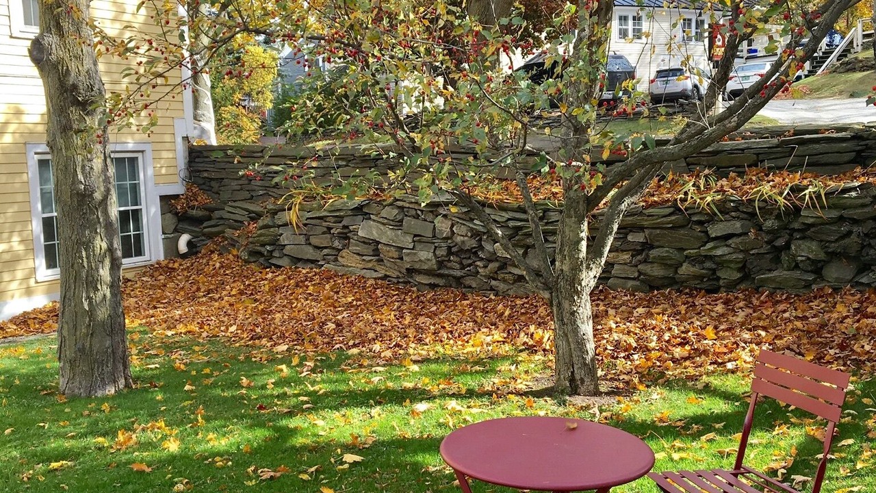 Photo of Outdoor in Stowe Area