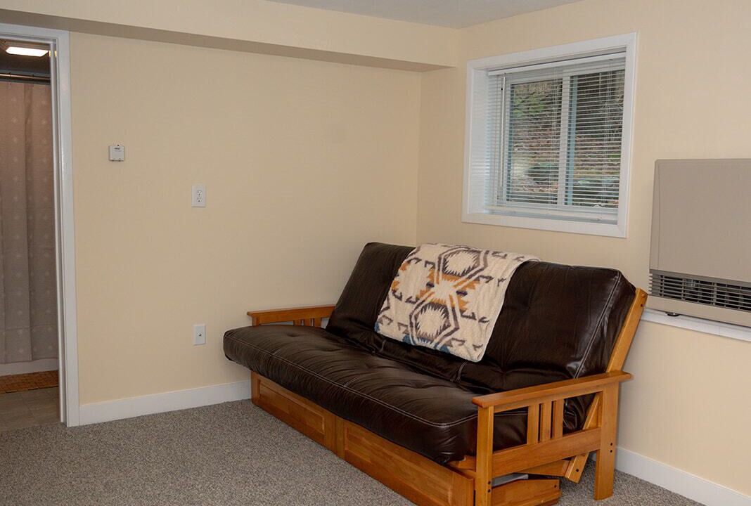 Photo of Livingroom in Wardsboro