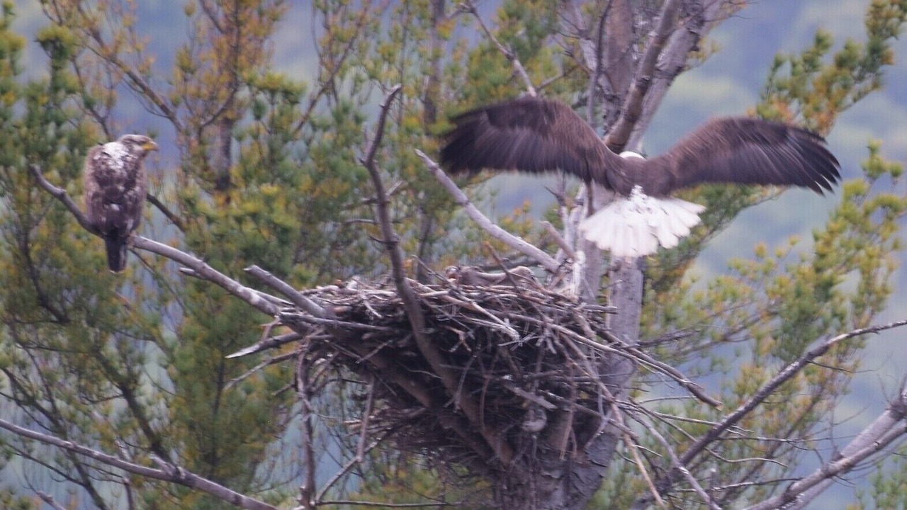 Photo of Outdoor in Wilmington