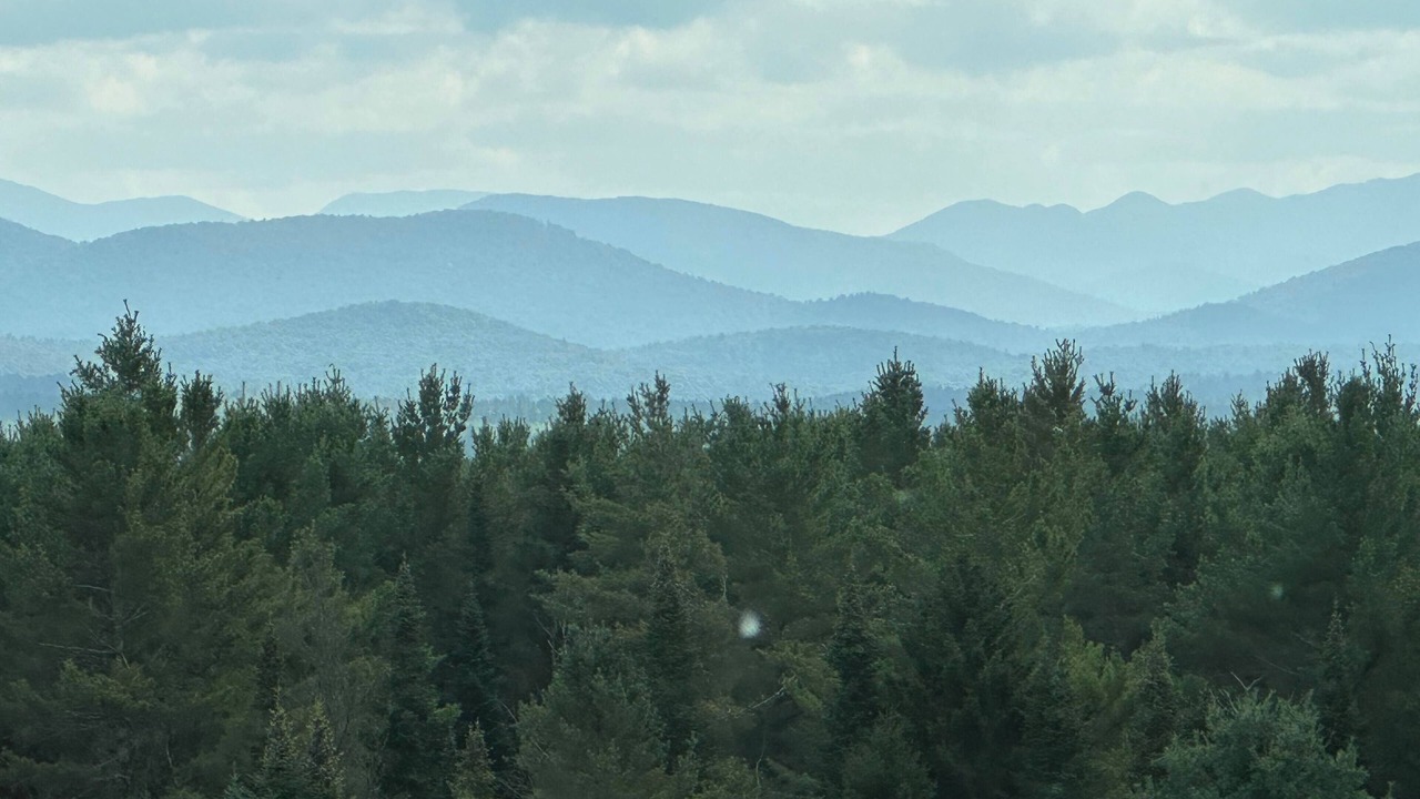 Photo of Others in Vermontville