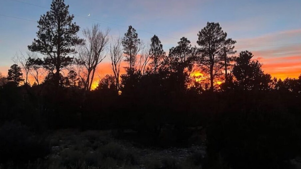 Photo of Outdoor in Zapata