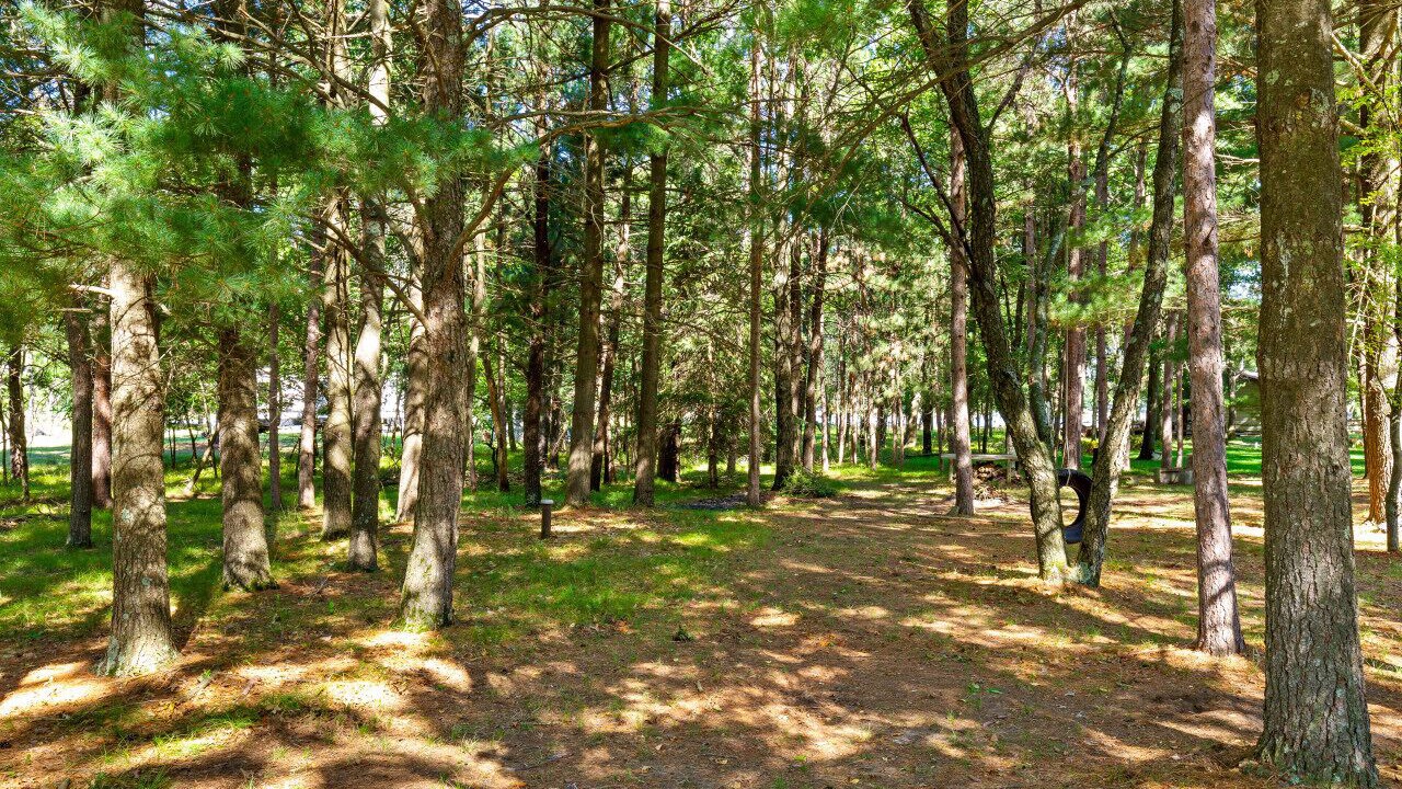 Photo of Outdoor in Nekoosa