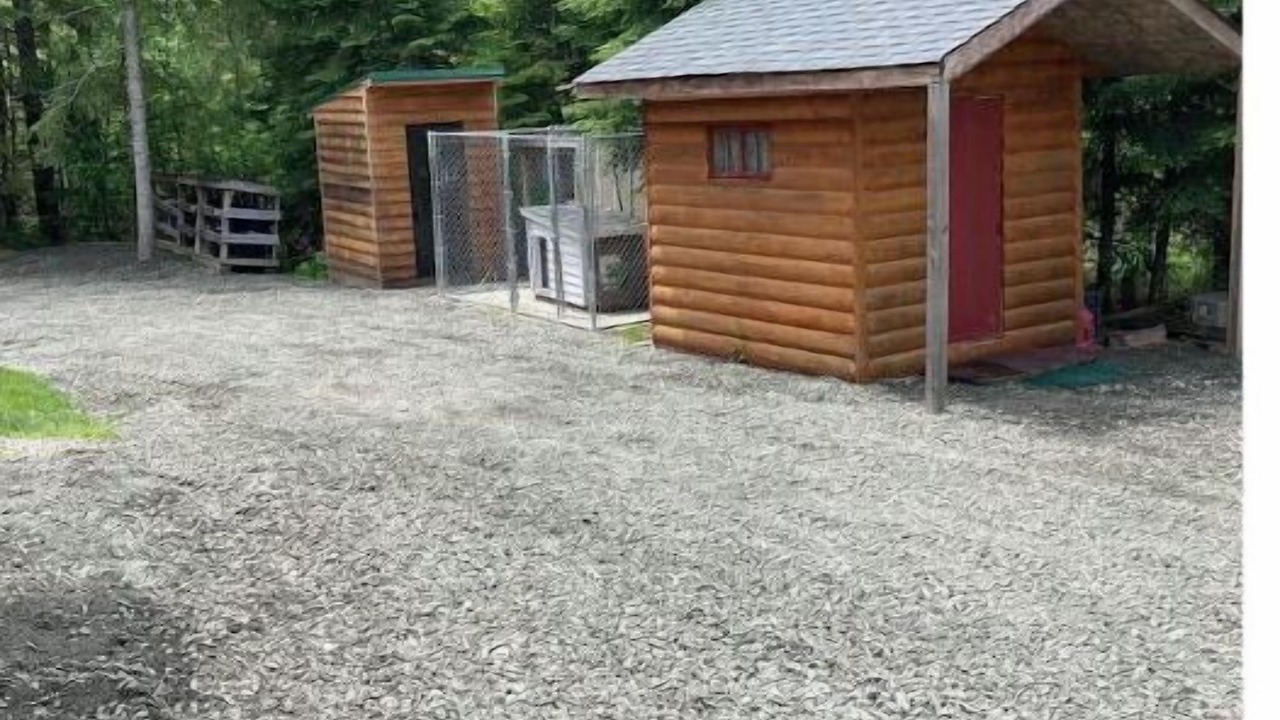 Photo of Outdoor in Blackduck