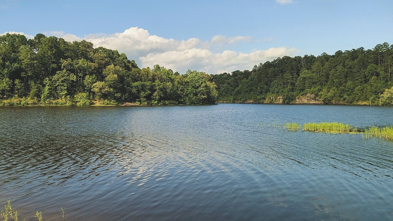 Photo of Outdoor in Searcy