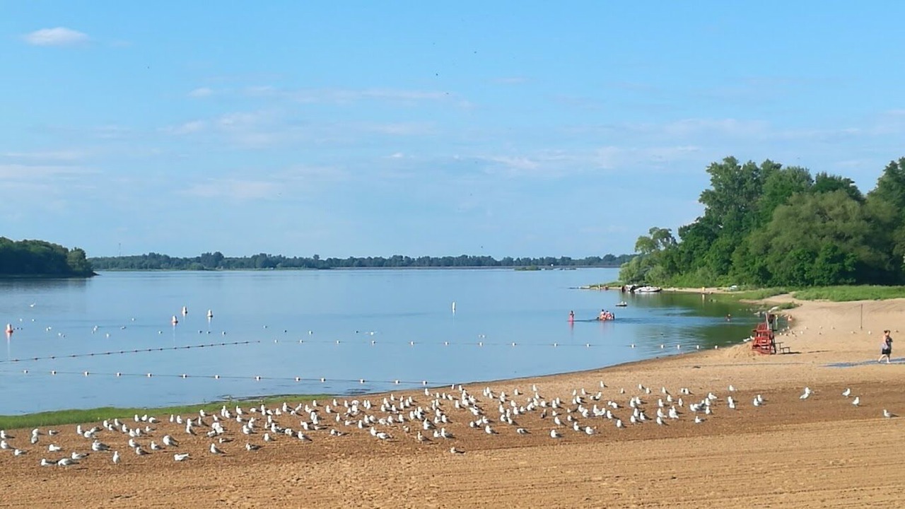 Photo of Others in Massena