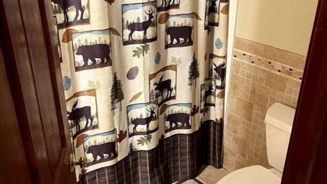 Photo of Bathroom in Lansing