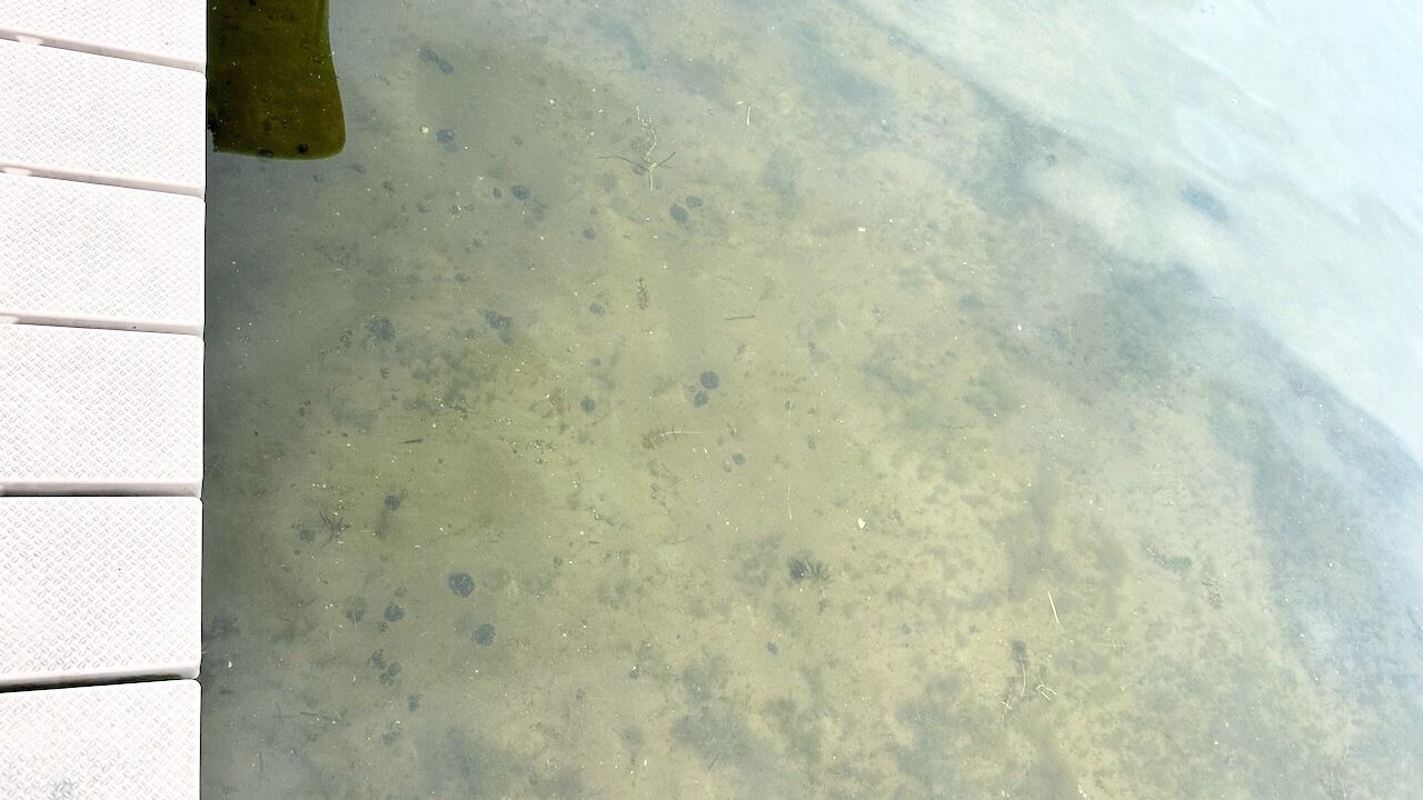 Photo of Outdoor in Forest Lake