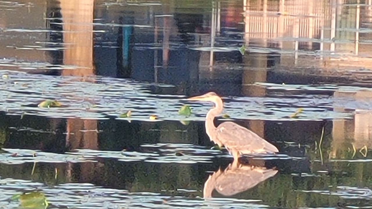 Photo of Others in Sandy Creek