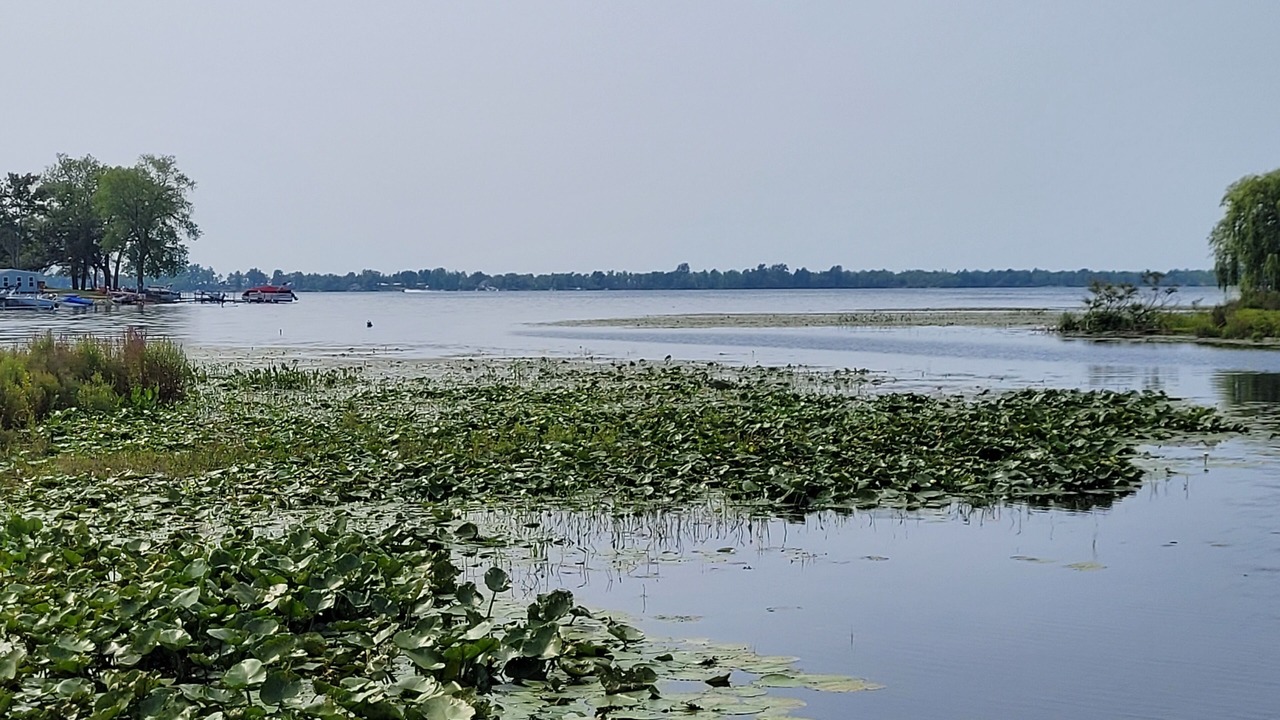 Photo of Outdoor in Sandy Creek