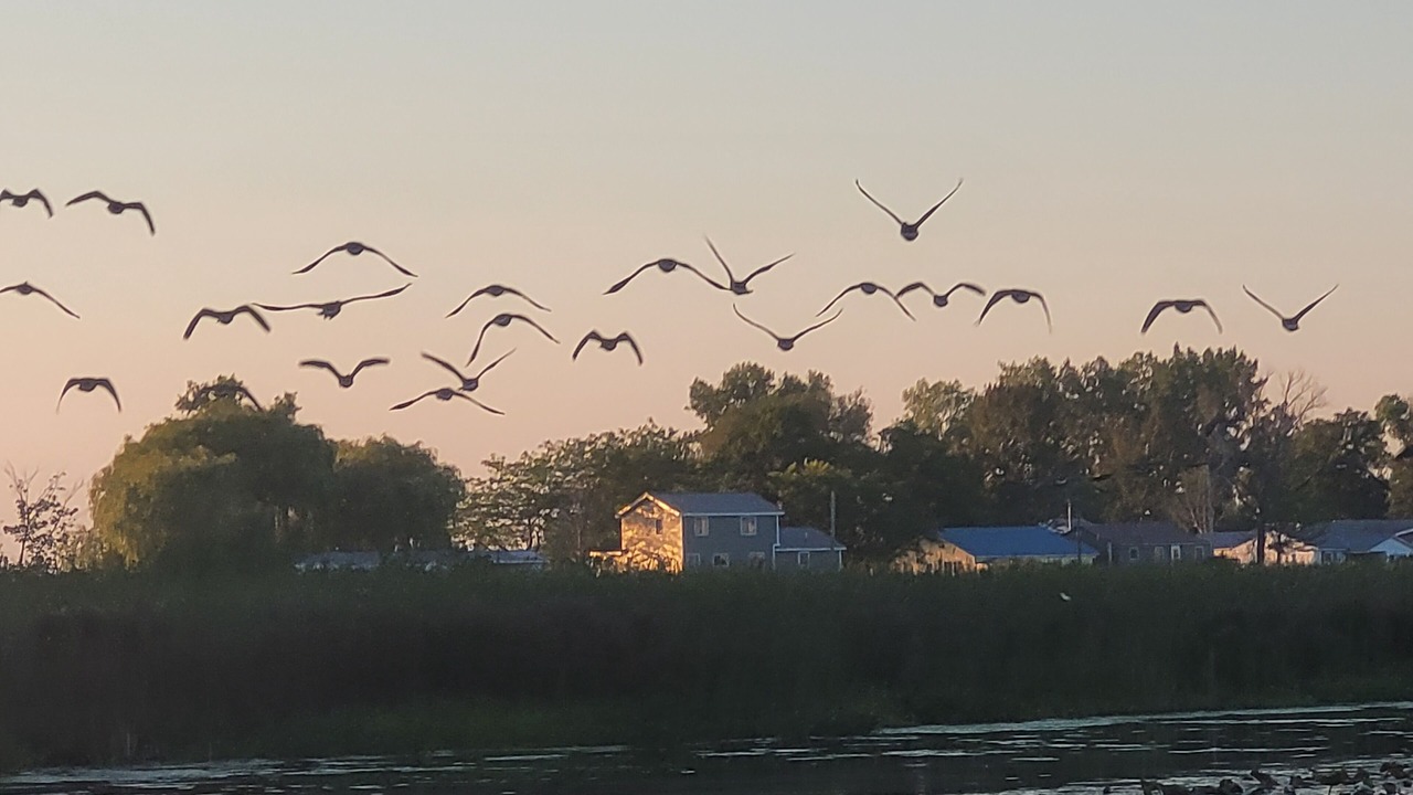 Photo of Others in Sandy Creek