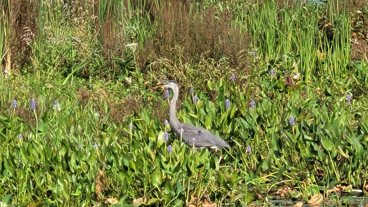 Photo of Outdoor in Sandy Creek
