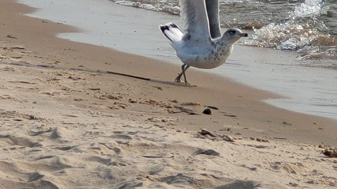 Photo of Others in Sandy Creek