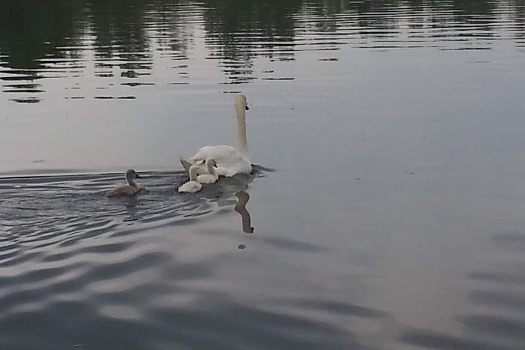 Photo of Others in Sandy Creek