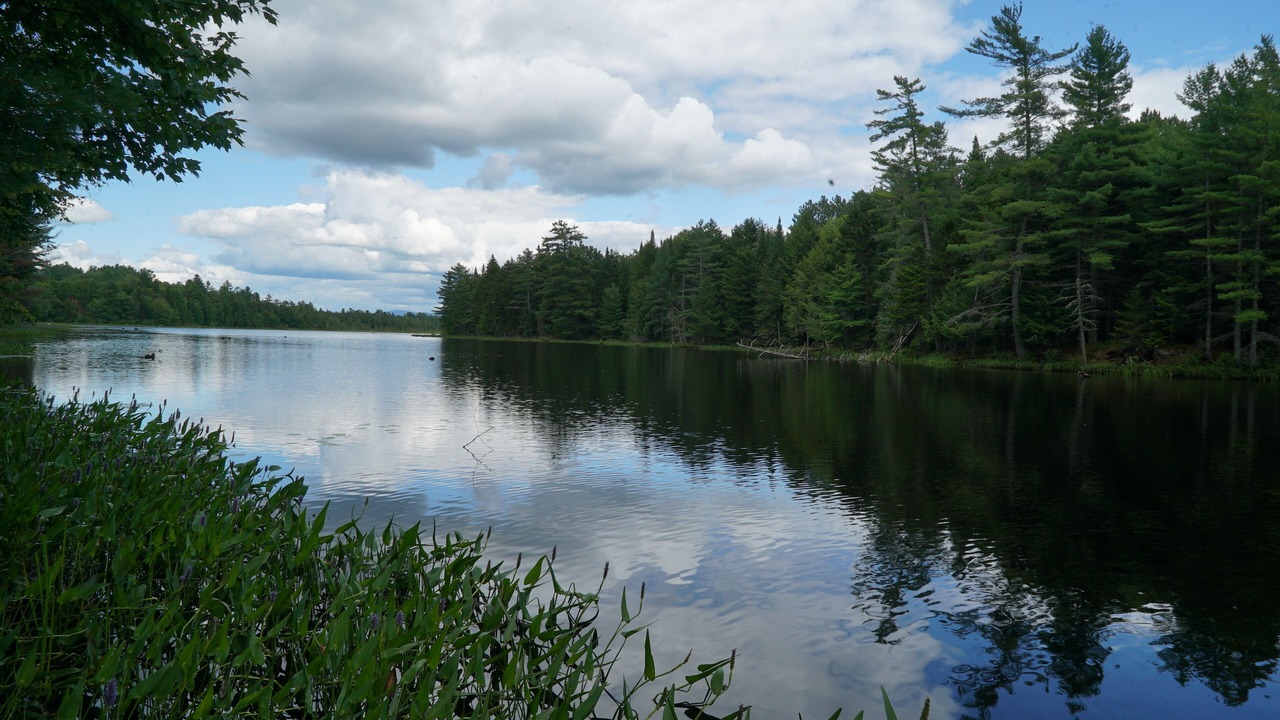 Photo of Others in Lake Clear