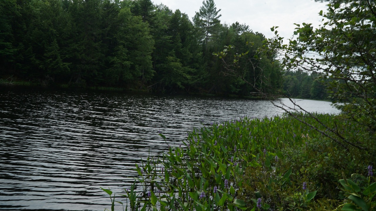 Photo of Others in Lake Clear