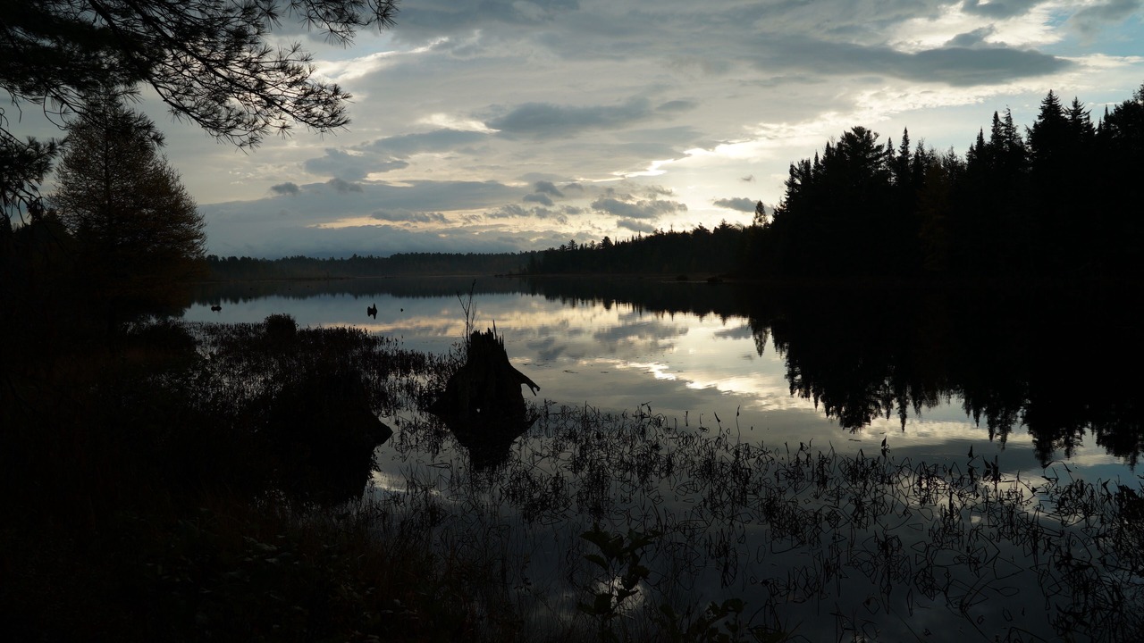 Photo of Others in Lake Clear