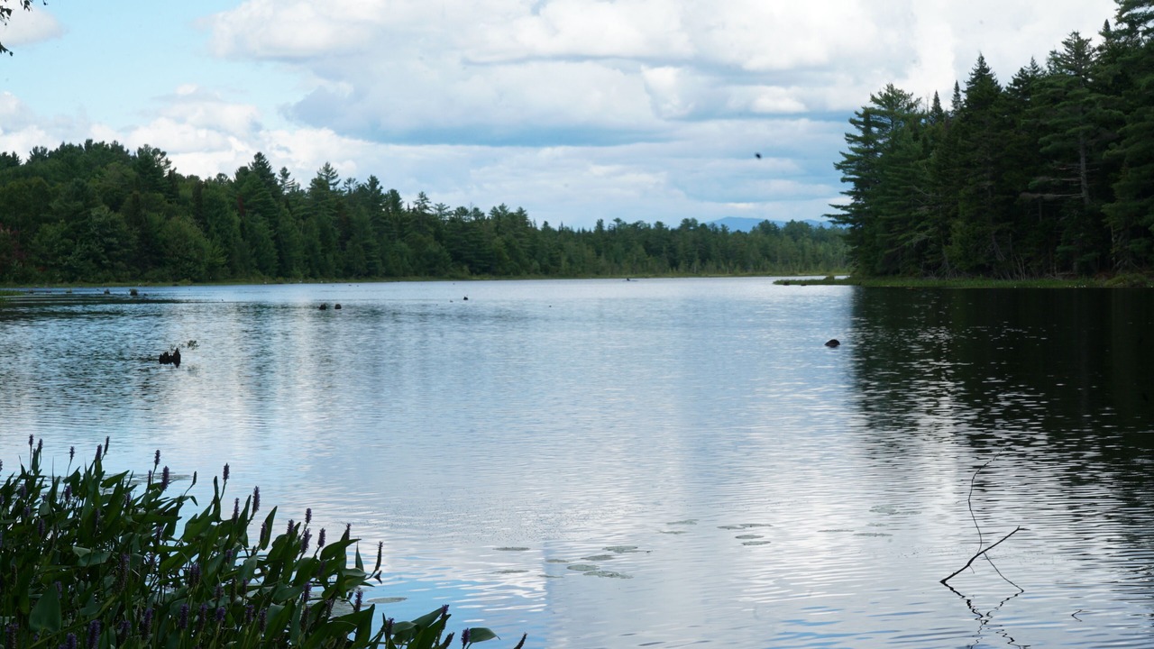 Photo of Others in Lake Clear