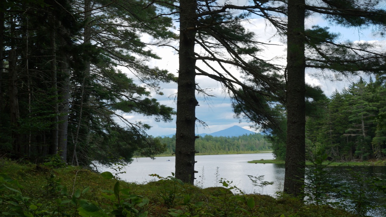 Photo of Others in Lake Clear