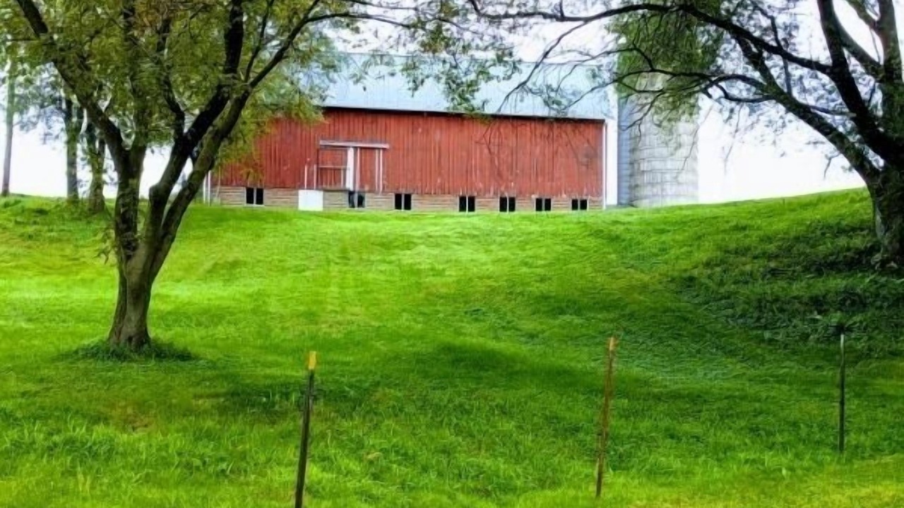 Photo of Outdoor in Rollingstone