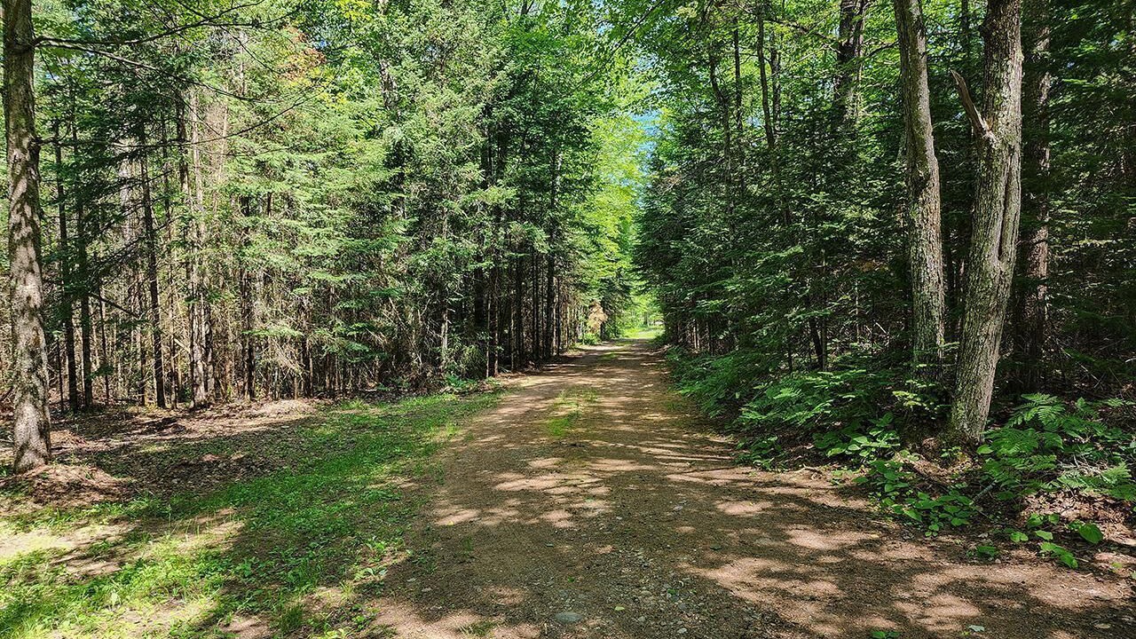 Photo of Outdoor in Tomahawk