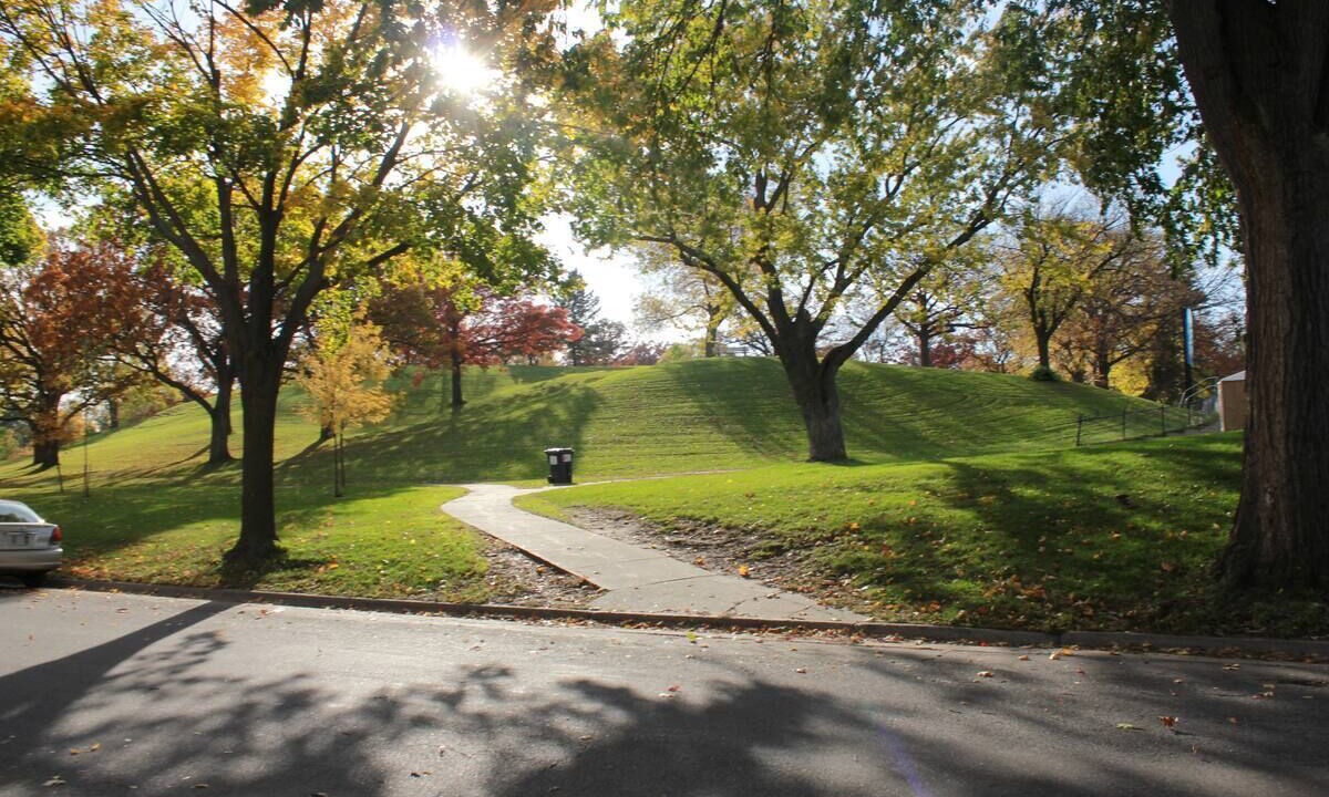 Photo of Others in Minneapolis