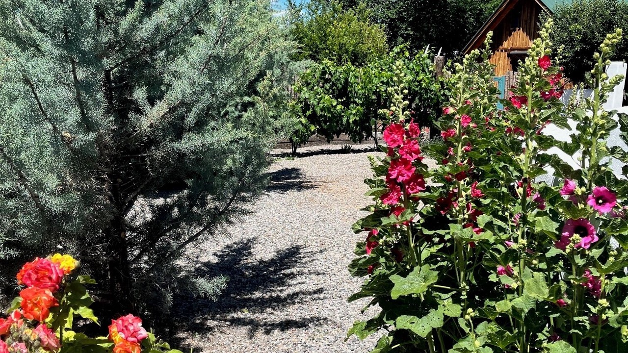 Photo of Outdoor in La Puebla
