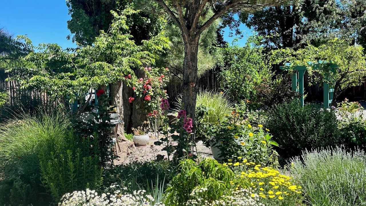 Photo of Outdoor in La Puebla