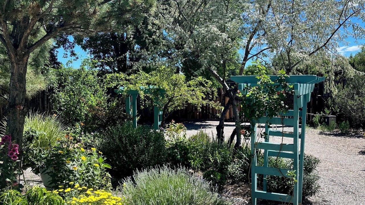 Photo of Outdoor in La Puebla