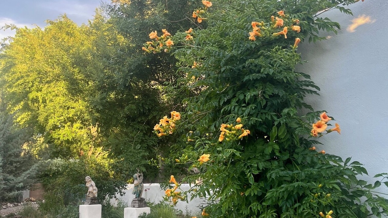 Photo of Outdoor in La Puebla