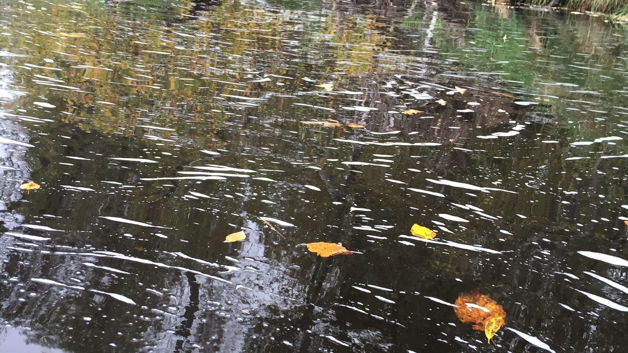 Photo of Others in Sturgeon Lake