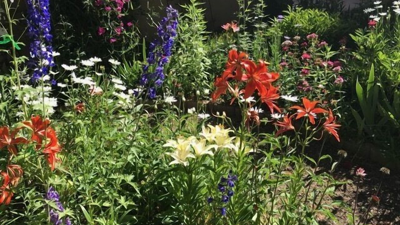 Photo of Outdoor in Taos
