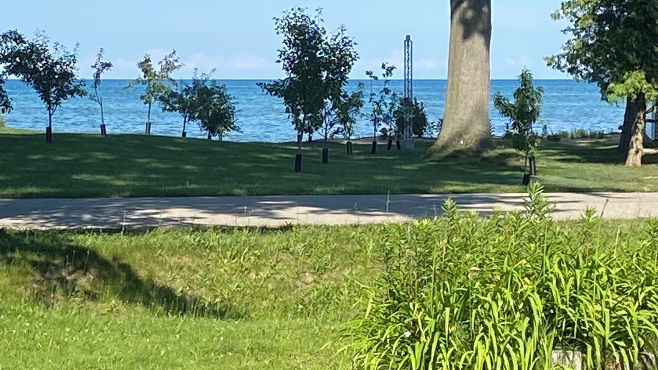 Photo of Others in Port Hope