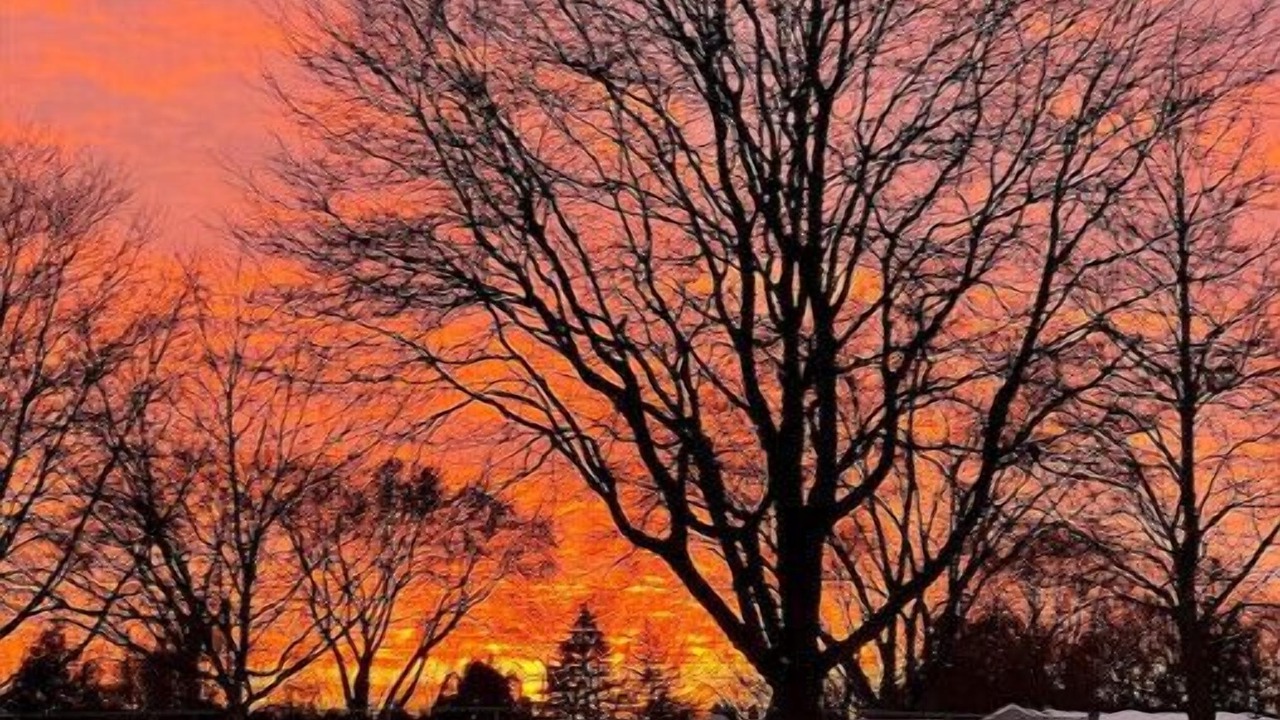 Photo of Others in Ashwaubenon