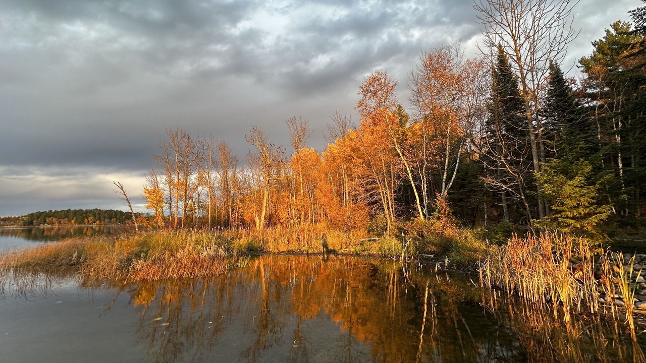 Photo of Others in Puposky