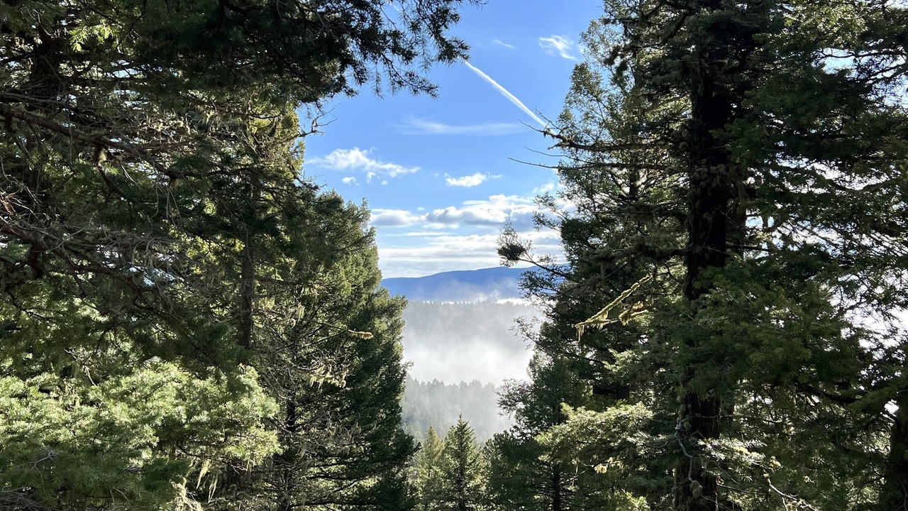 Photo of Others in Angel Fire