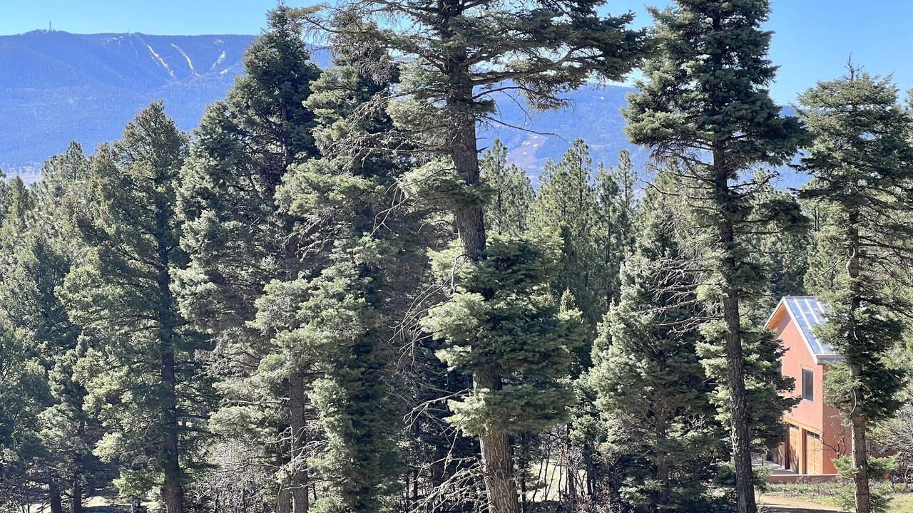 Photo of Others in Angel Fire