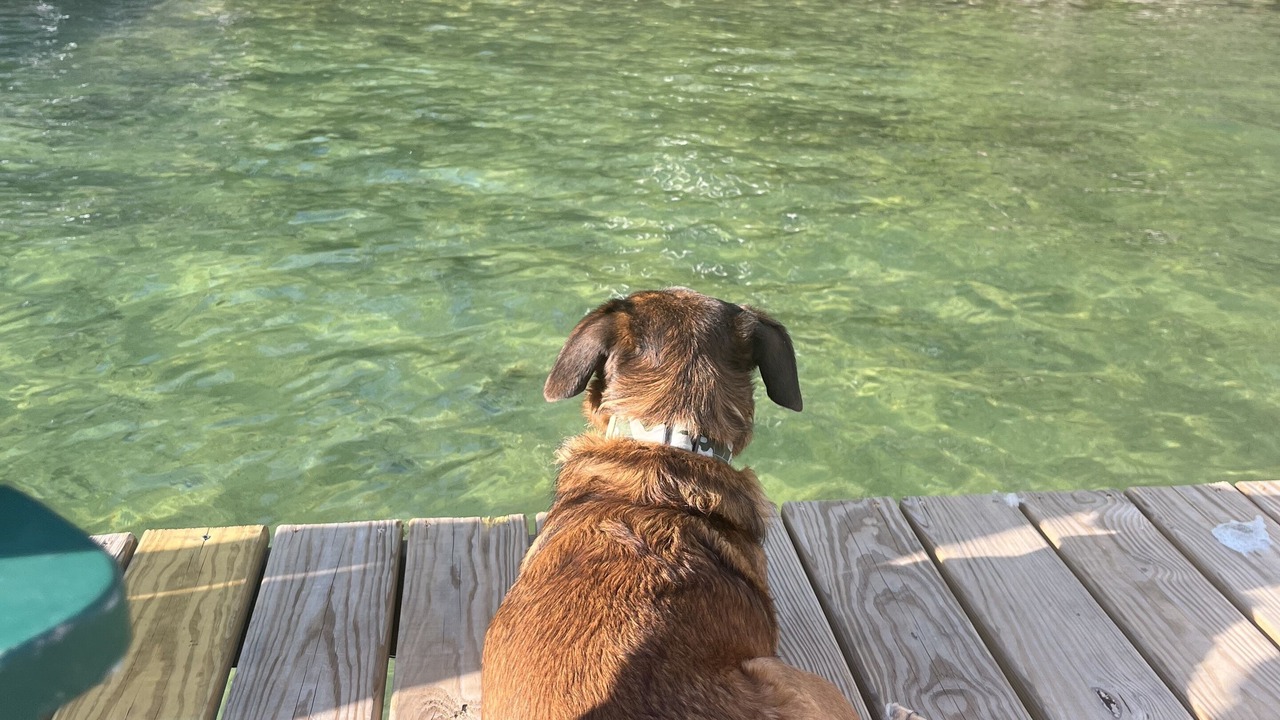 Photo of Others in Walloon Lake