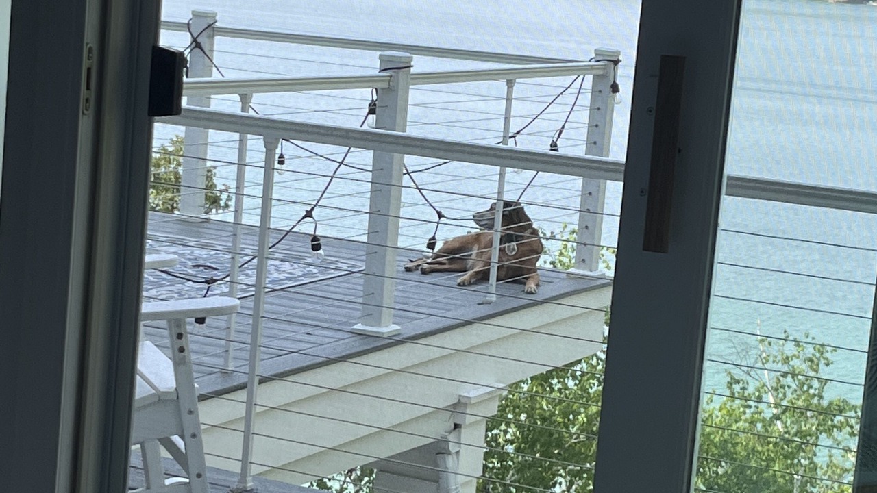 Photo of Bedroom in Walloon Lake