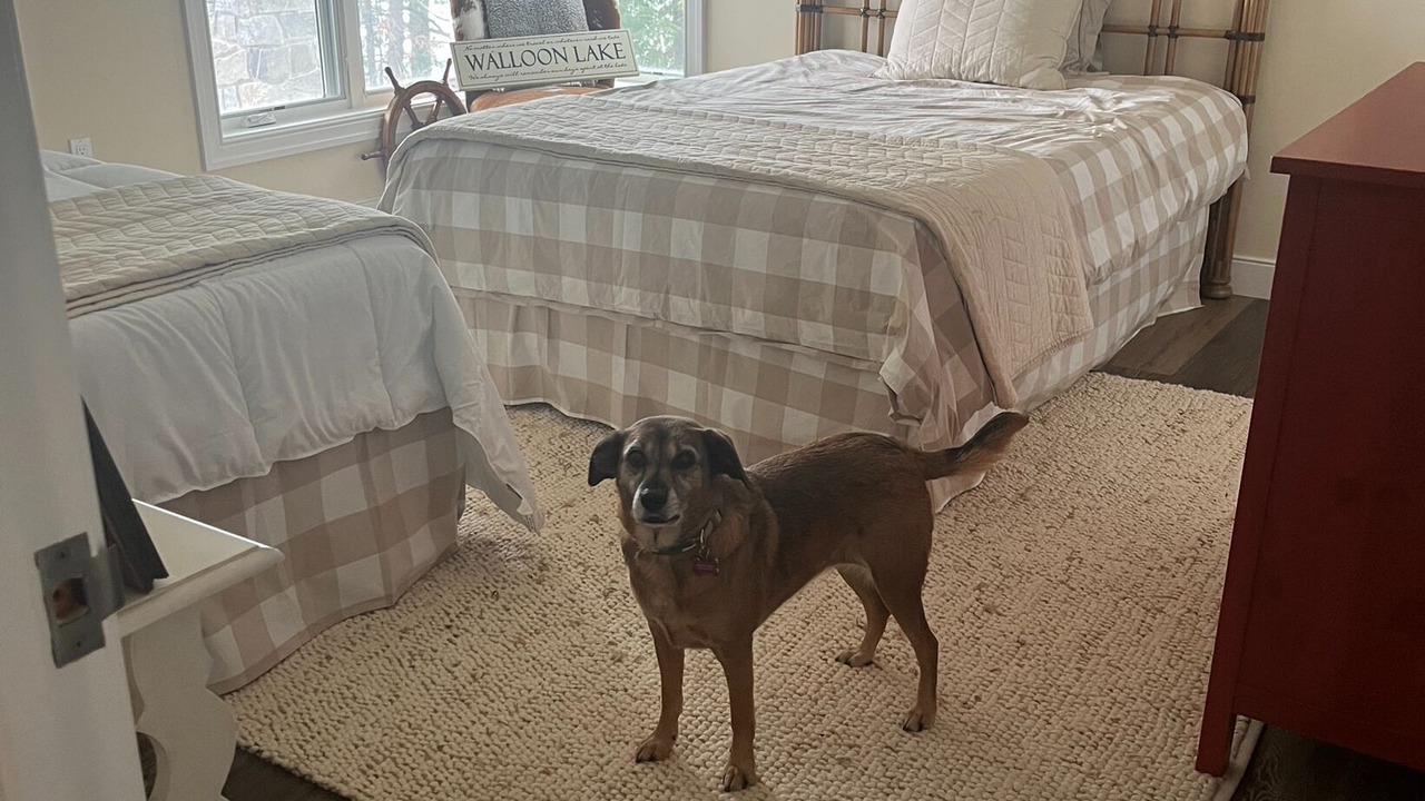 Photo of Bedroom in Walloon Lake