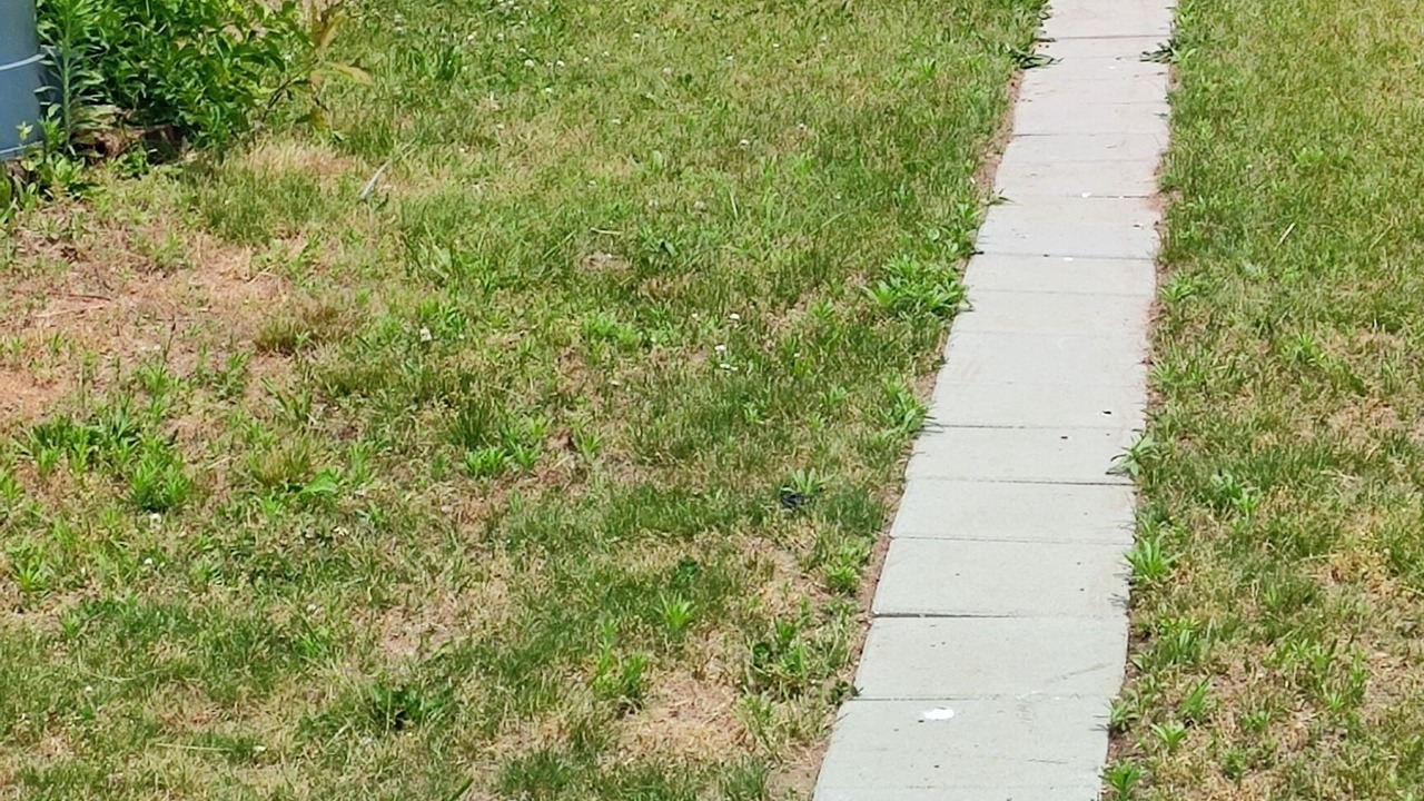 Photo of Outdoor in Pine Point
