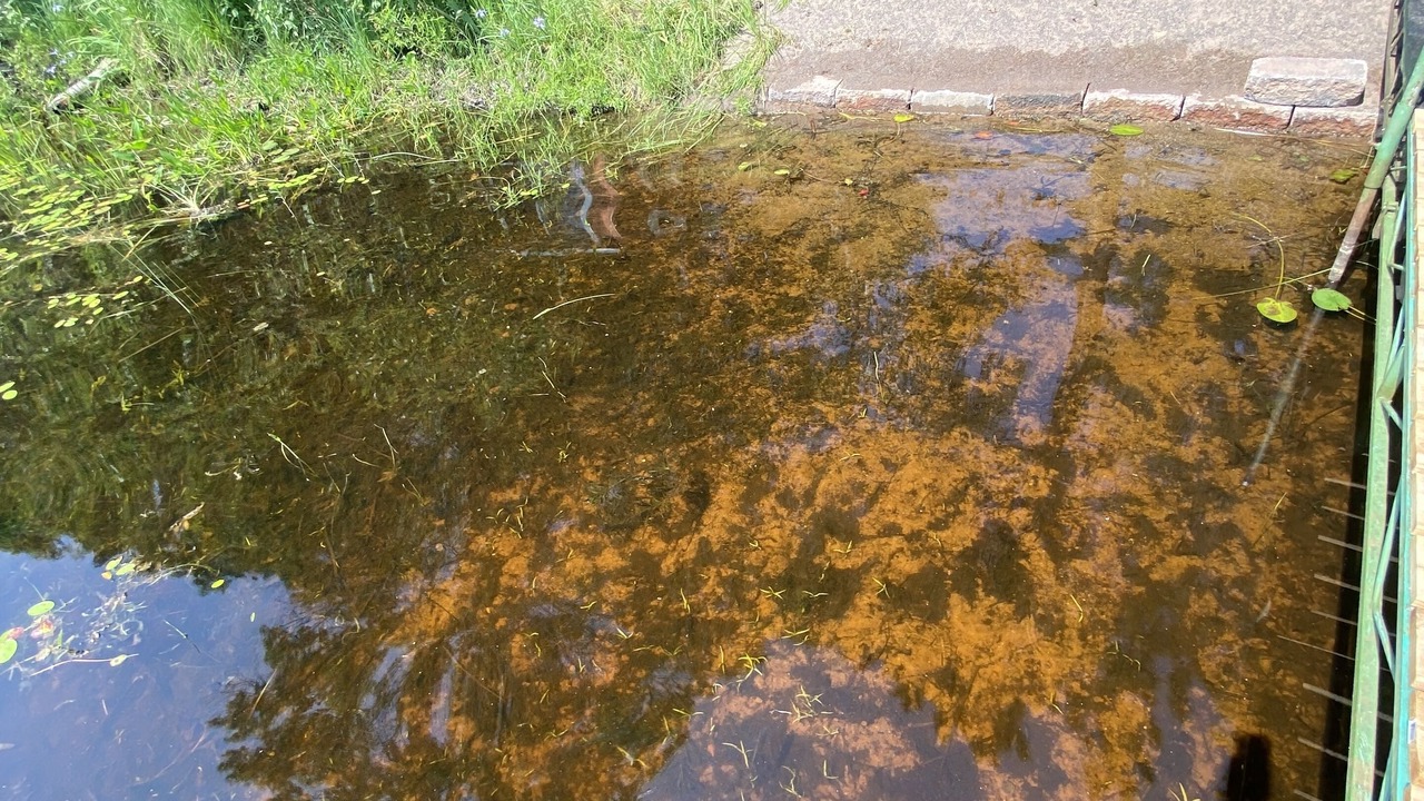 Photo of Outdoor in Spooner