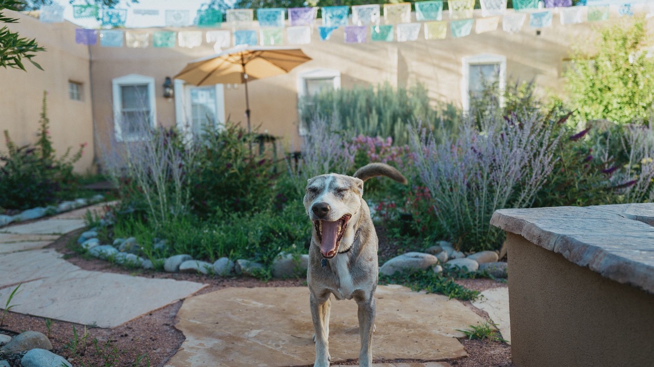 Photo of Outdoor in Downtown Santa Fe