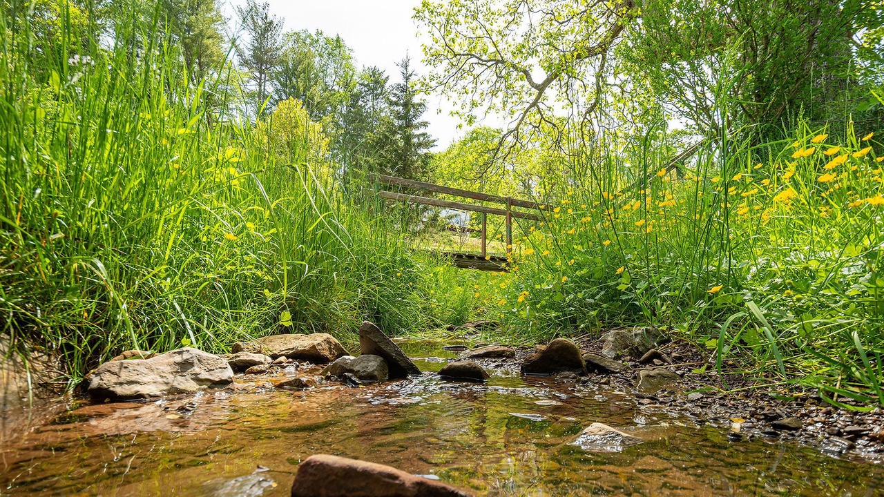 Photo of Outdoor in Rowlesburg