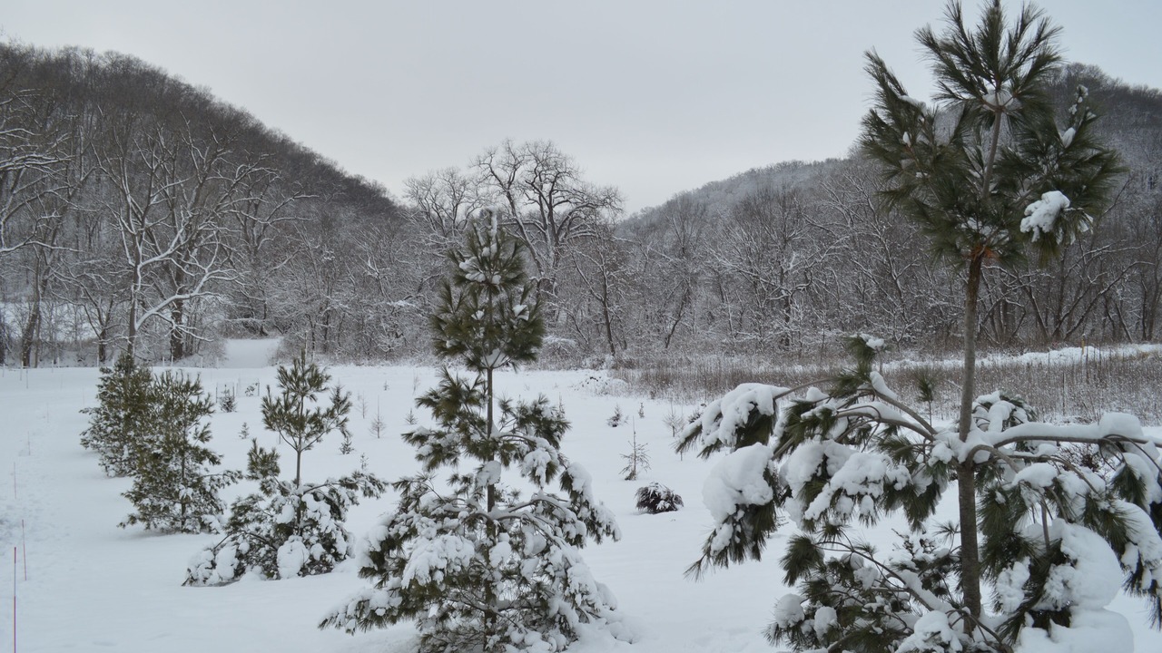 Photo of Outdoor in Ferryville