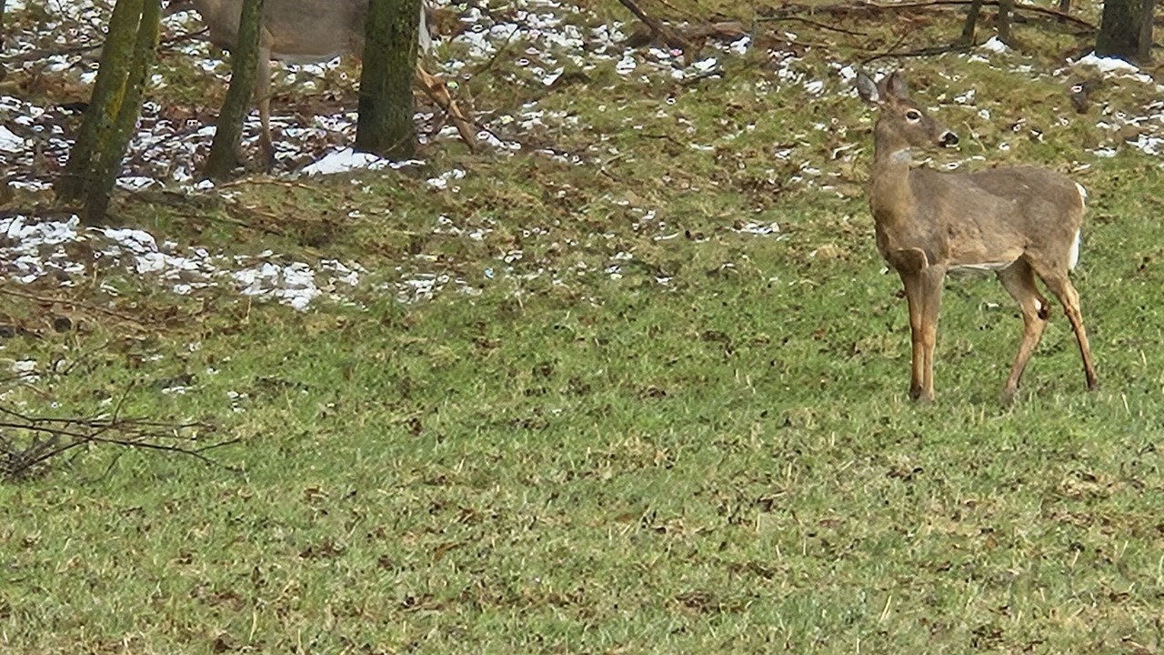 Photo of Others in Medford